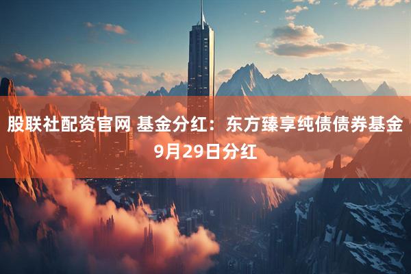 股联社配资官网 基金分红：东方臻享纯债债券基金9月29日分红