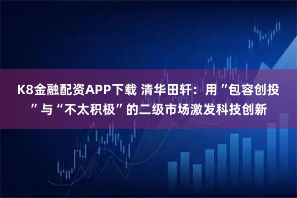 K8金融配资APP下载 清华田轩：用“包容创投”与“不太积极”的二级市场激发科技创新