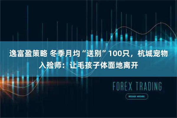 逸富盈策略 冬季月均“送别”100只，杭城宠物入殓师：让毛孩子体面地离开